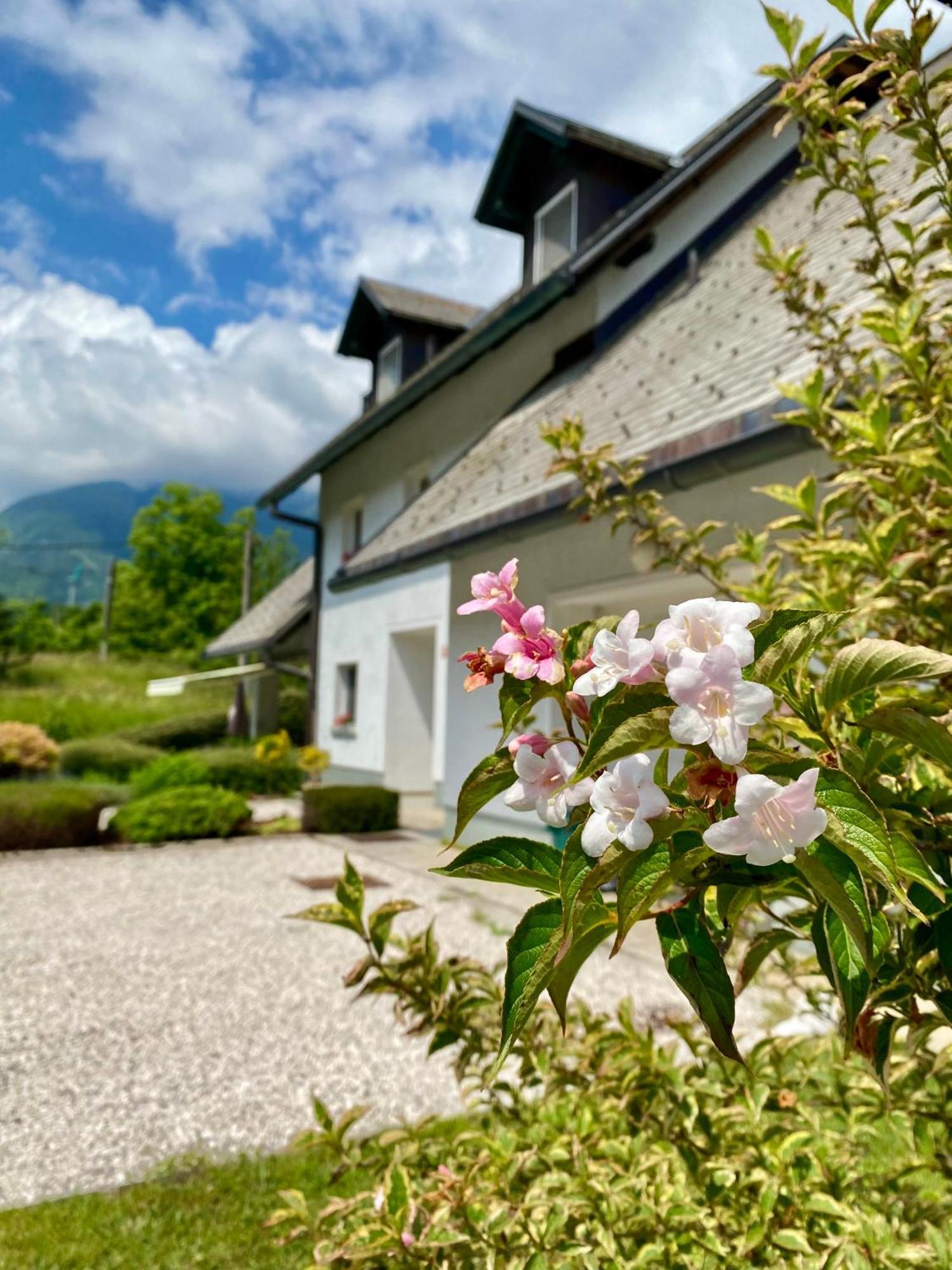 Apartments Alpha Center Bovec Kültér fotó